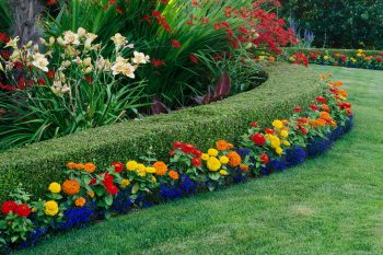 Flowers, Landscape, Landscaping, Garden, Gardening